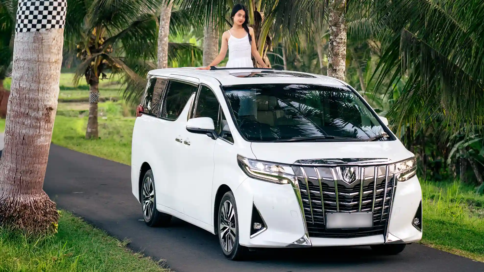 A licensed private MPV waiting on a palm-lined road in Bali
